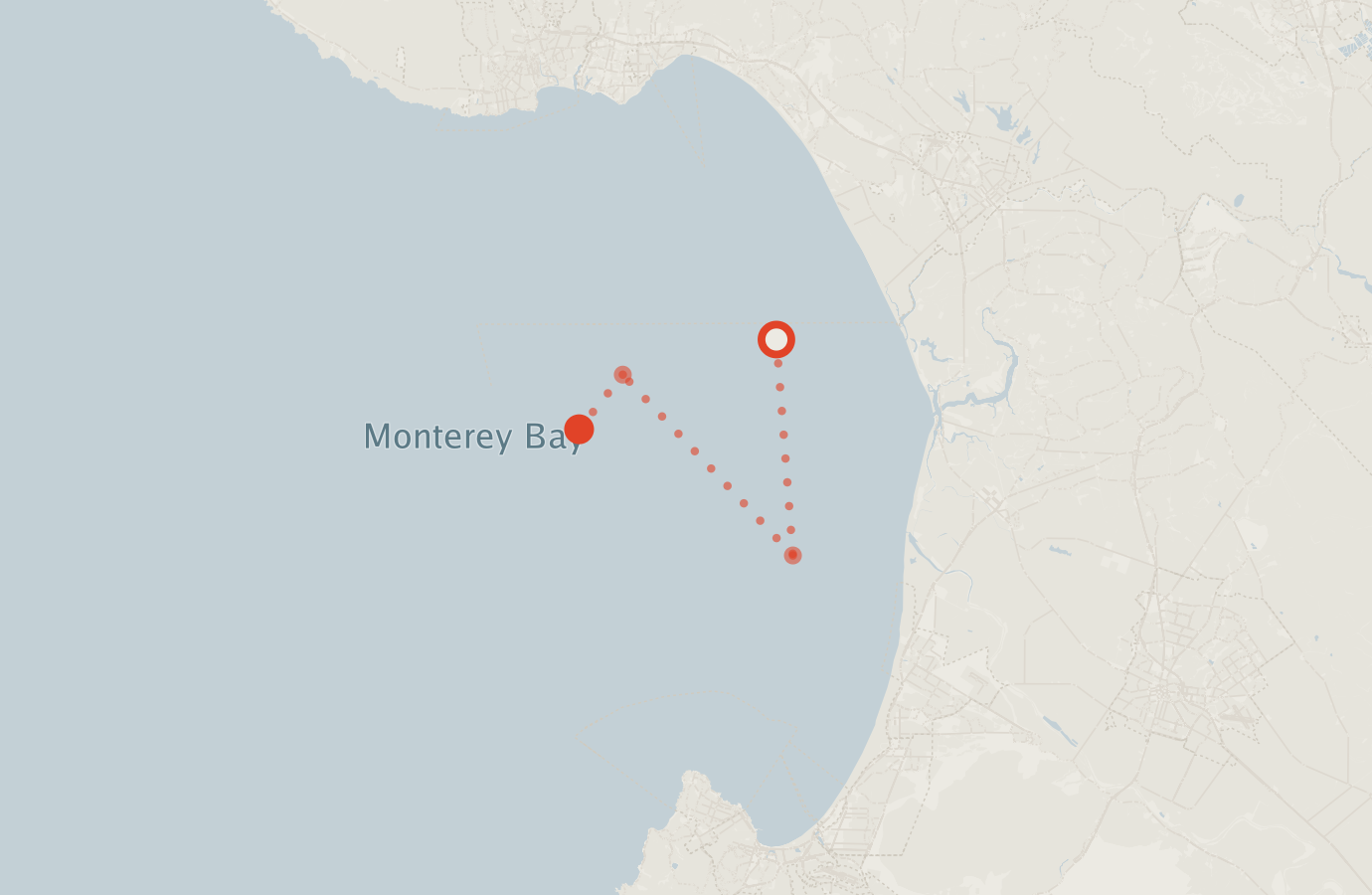 Activity map — real sighting points on an OpenStreetMap basemap