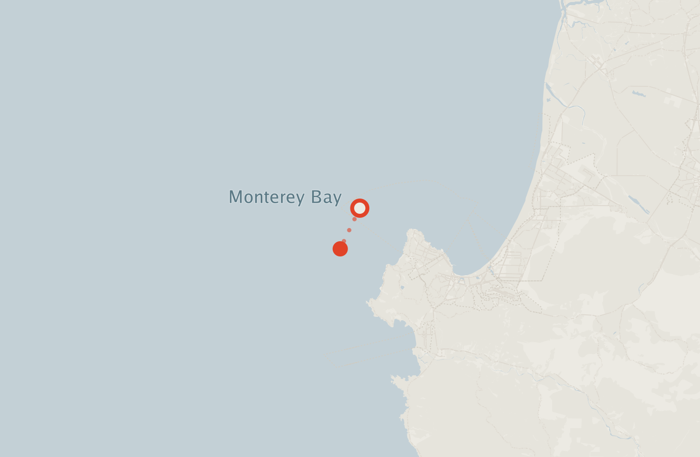 Activity map — real sighting points on an OpenStreetMap basemap