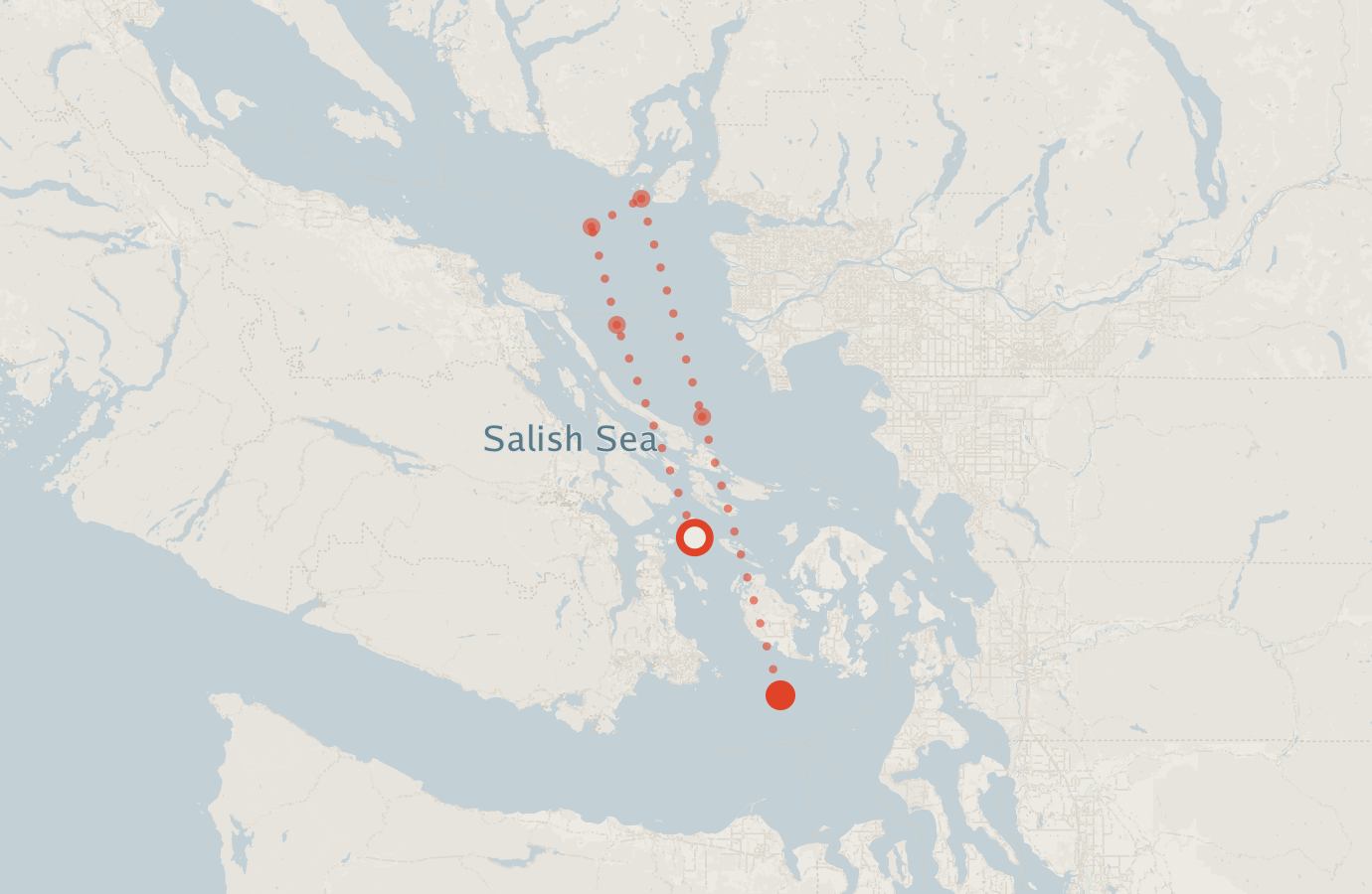 Activity map — real sighting points on an OpenStreetMap basemap