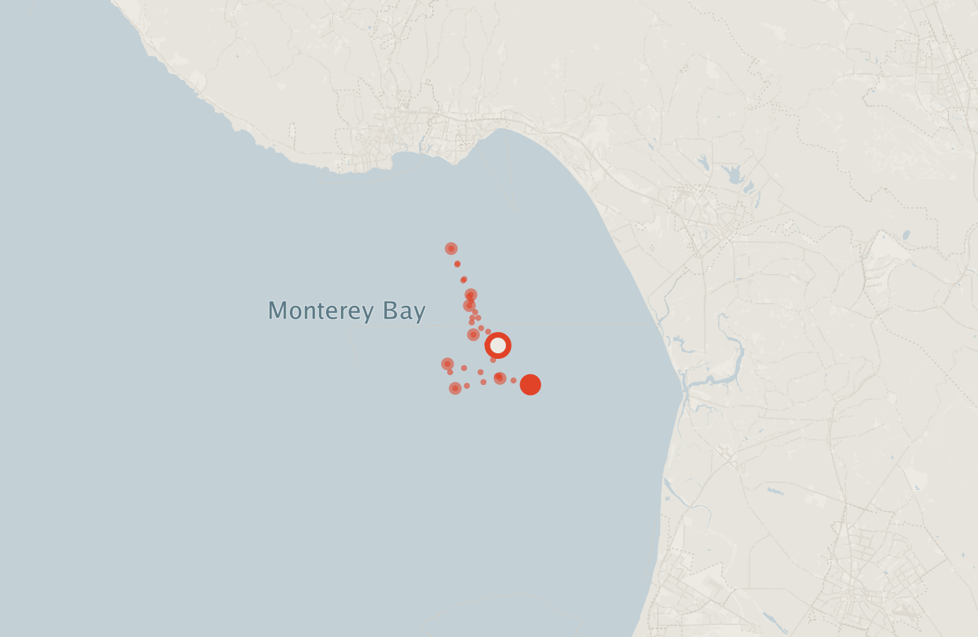 Activity map — real sighting points on an OpenStreetMap basemap