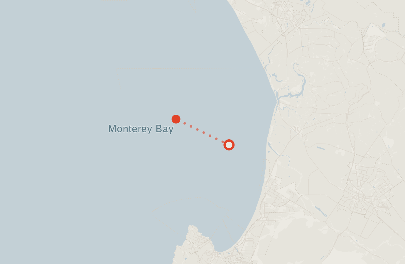 Activity map — real sighting points on an OpenStreetMap basemap