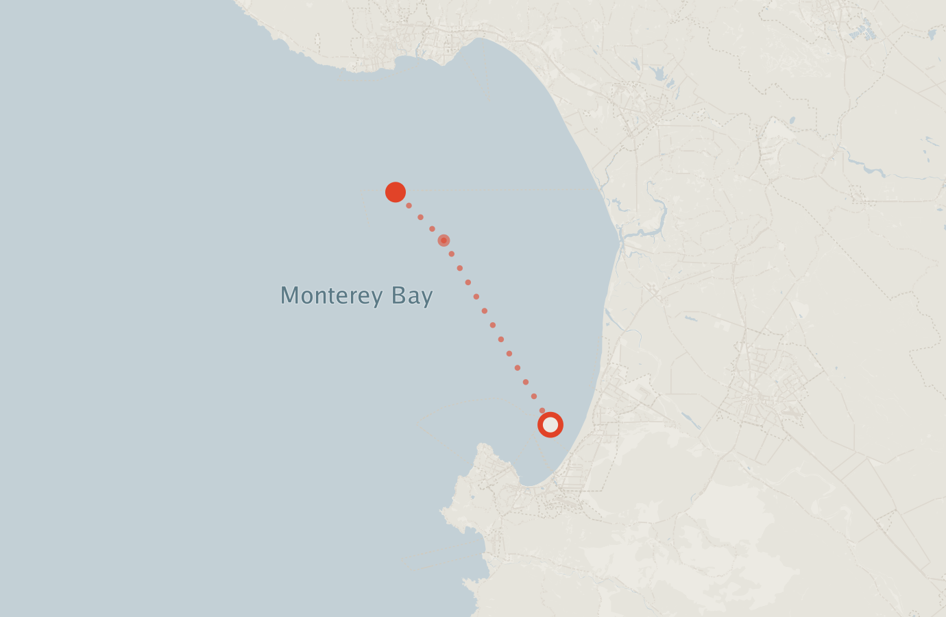 Activity map — real sighting points on an OpenStreetMap basemap