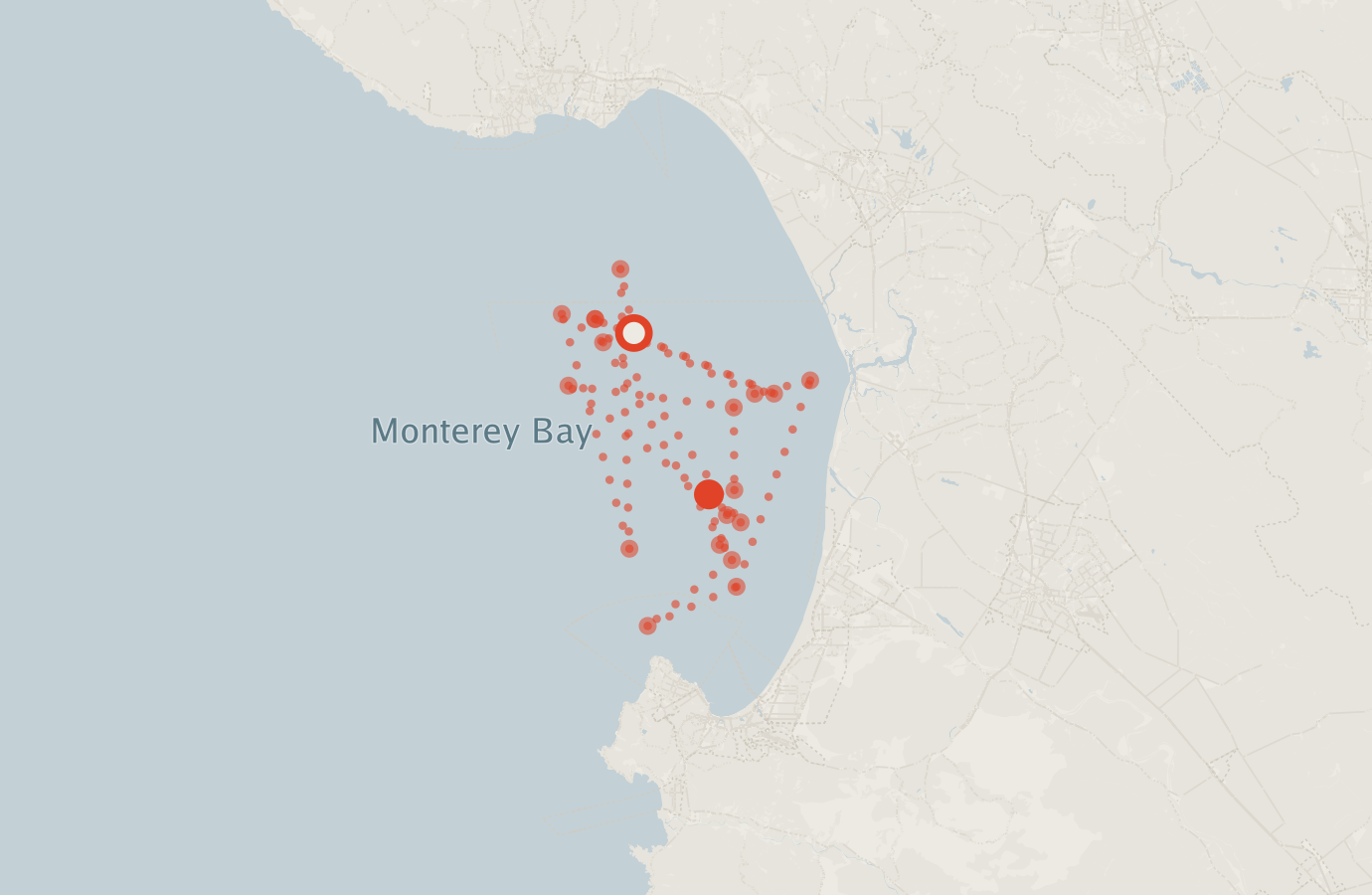 Activity map — real sighting points on an OpenStreetMap basemap