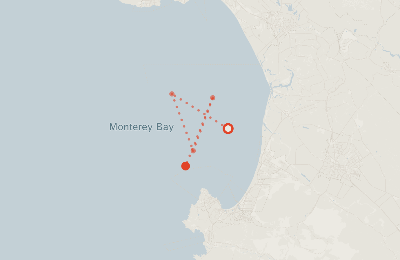 Activity map — real sighting points on an OpenStreetMap basemap