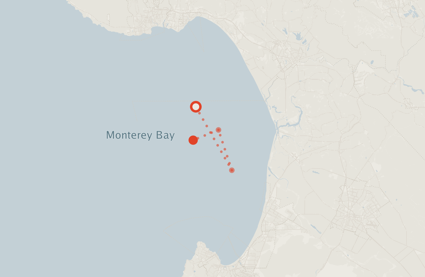 Activity map — real sighting points on an OpenStreetMap basemap