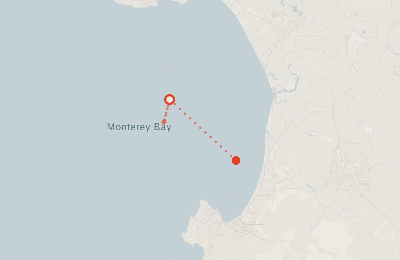 Activity map — real sighting points on an OpenStreetMap basemap