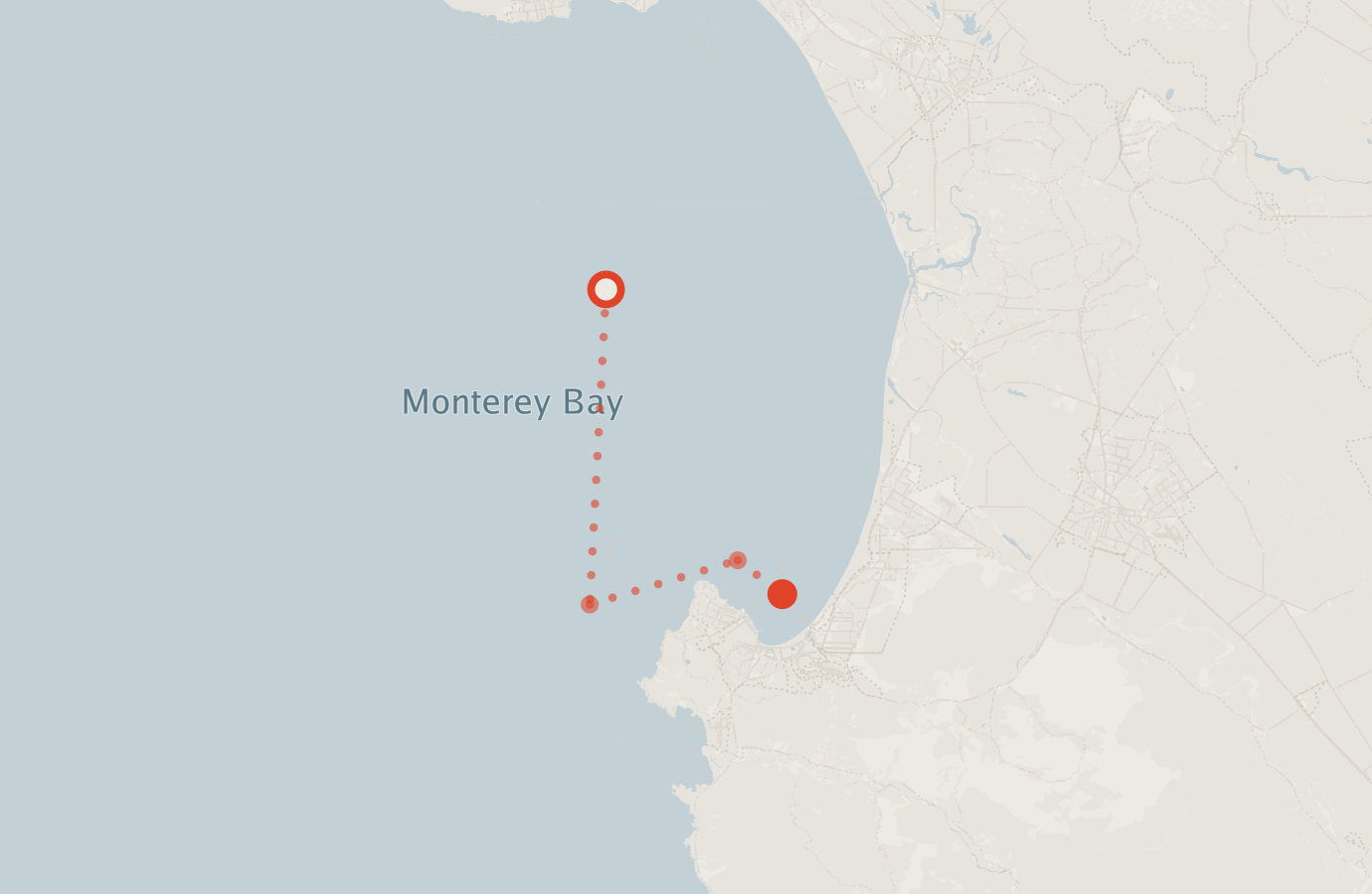 Activity map — real sighting points on an OpenStreetMap basemap