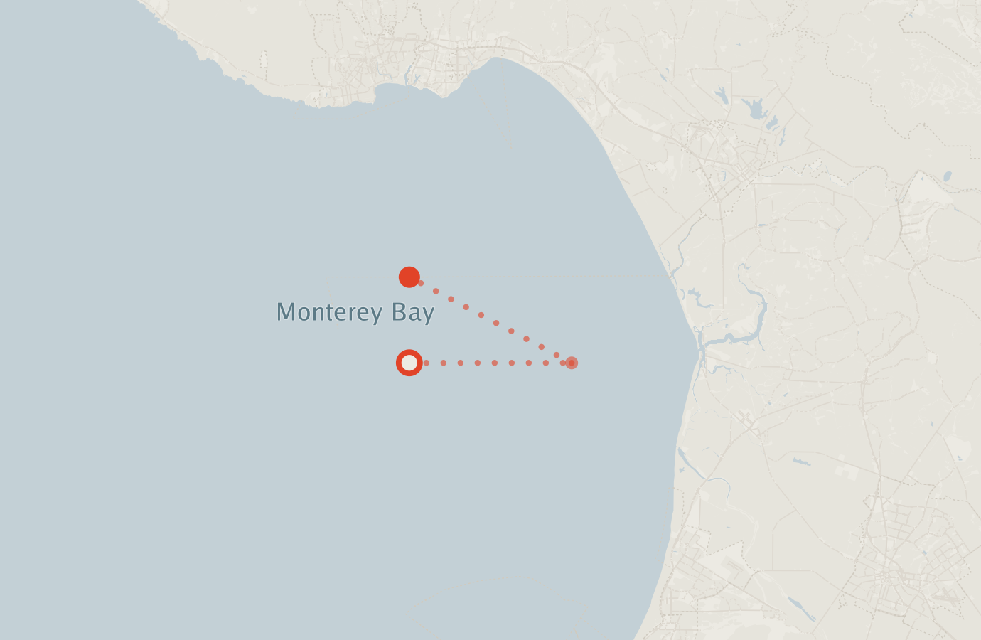 Activity map — real sighting points on an OpenStreetMap basemap