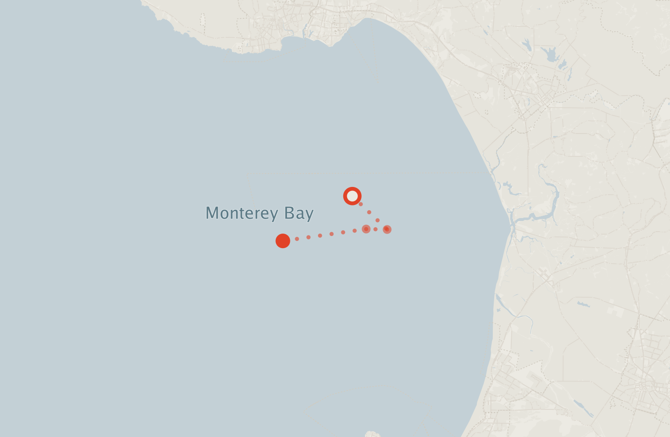 Activity map — real sighting points on an OpenStreetMap basemap