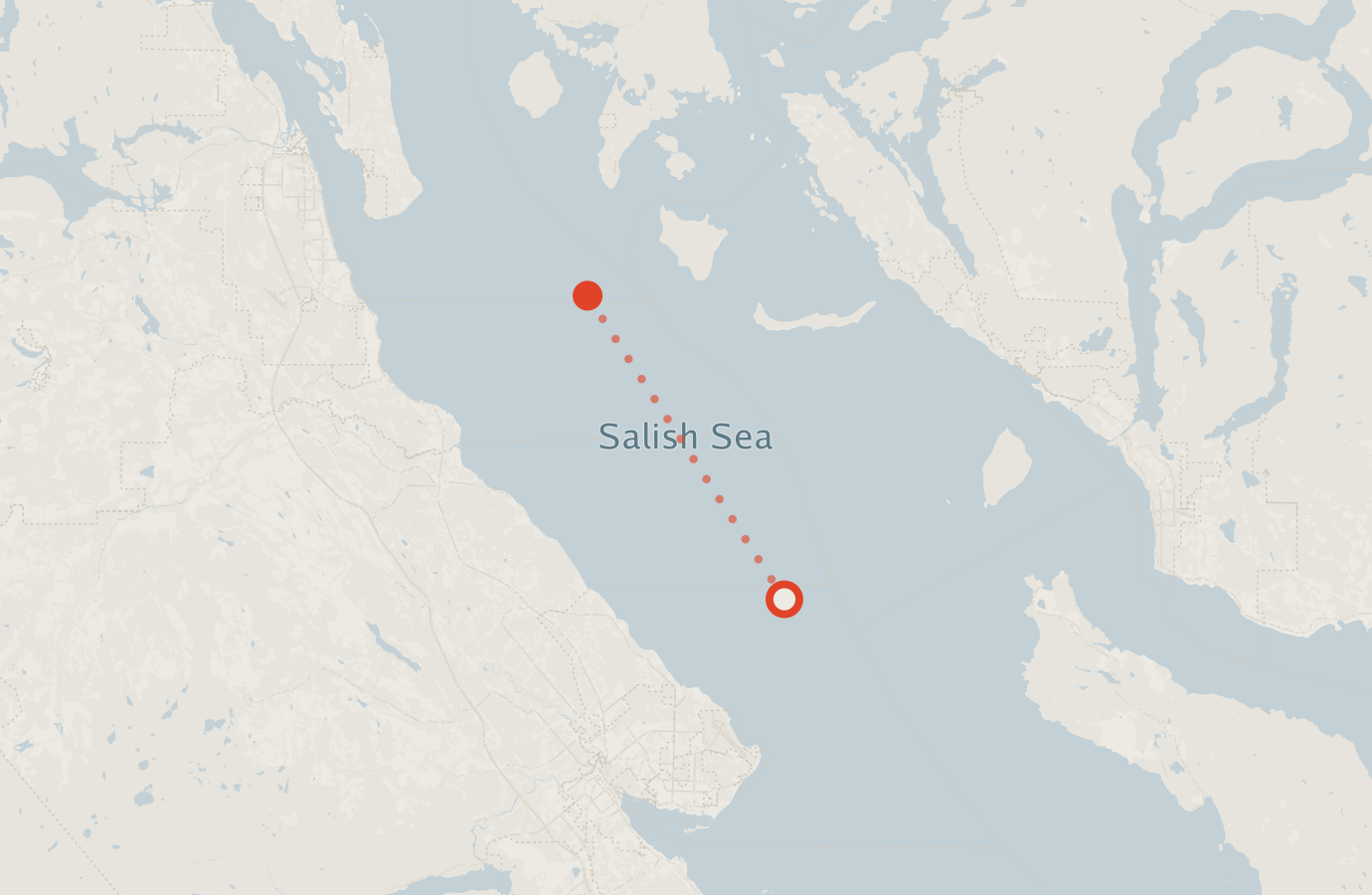 Activity map — real sighting points on an OpenStreetMap basemap