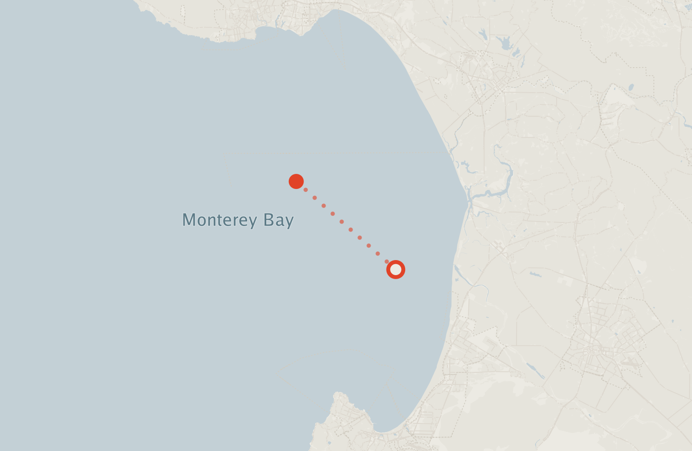 Activity map — real sighting points on an OpenStreetMap basemap
