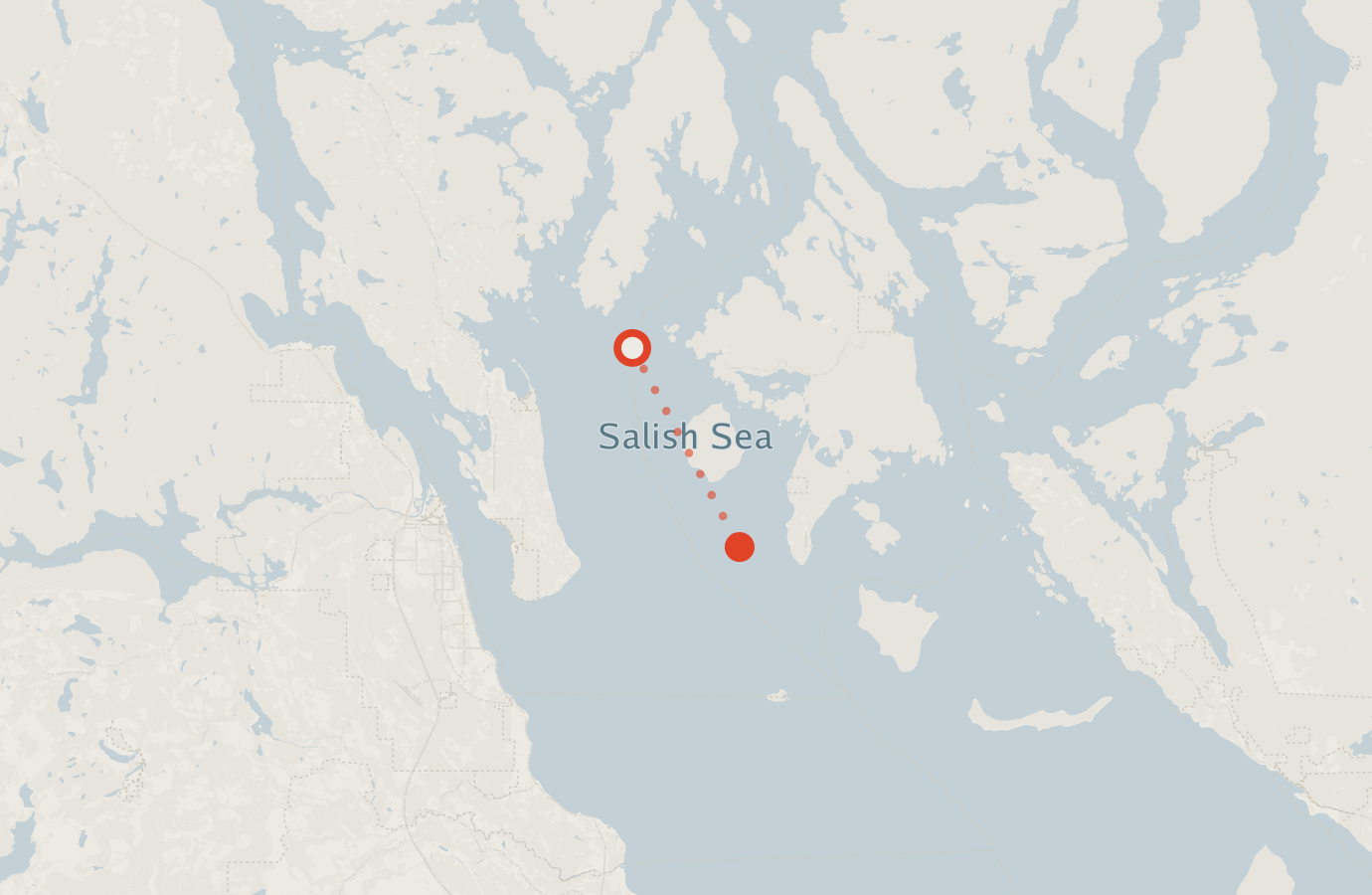 Activity map — real sighting points on an OpenStreetMap basemap