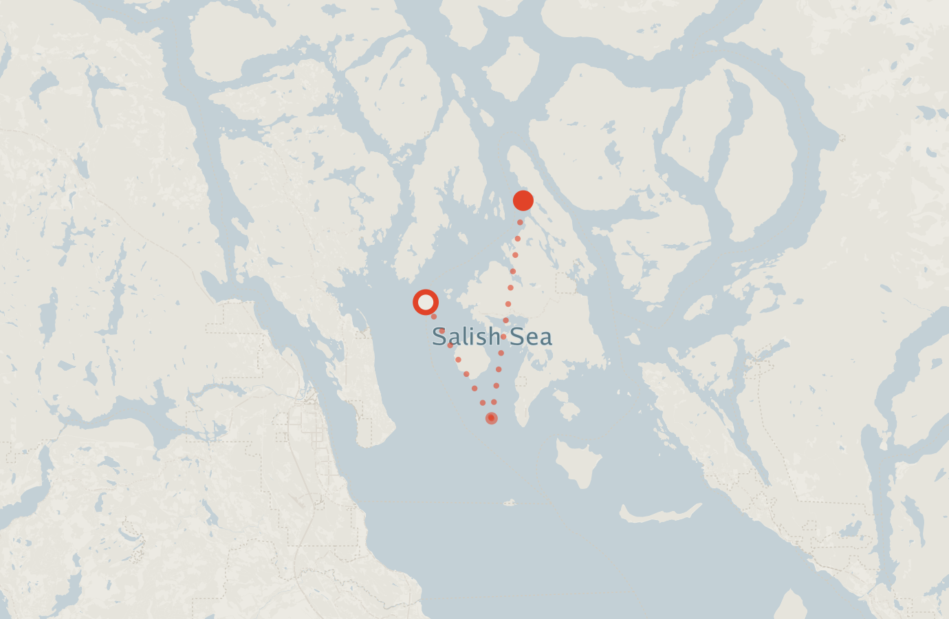 Activity map — real sighting points on an OpenStreetMap basemap