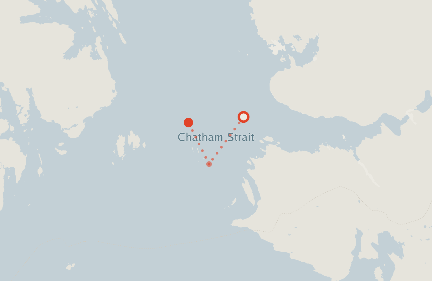 Activity map — real sighting points on an OpenStreetMap basemap