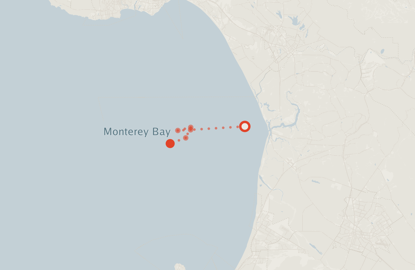 Activity map — real sighting points on an OpenStreetMap basemap