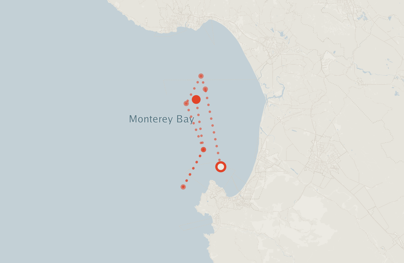 Activity map — real sighting points on an OpenStreetMap basemap