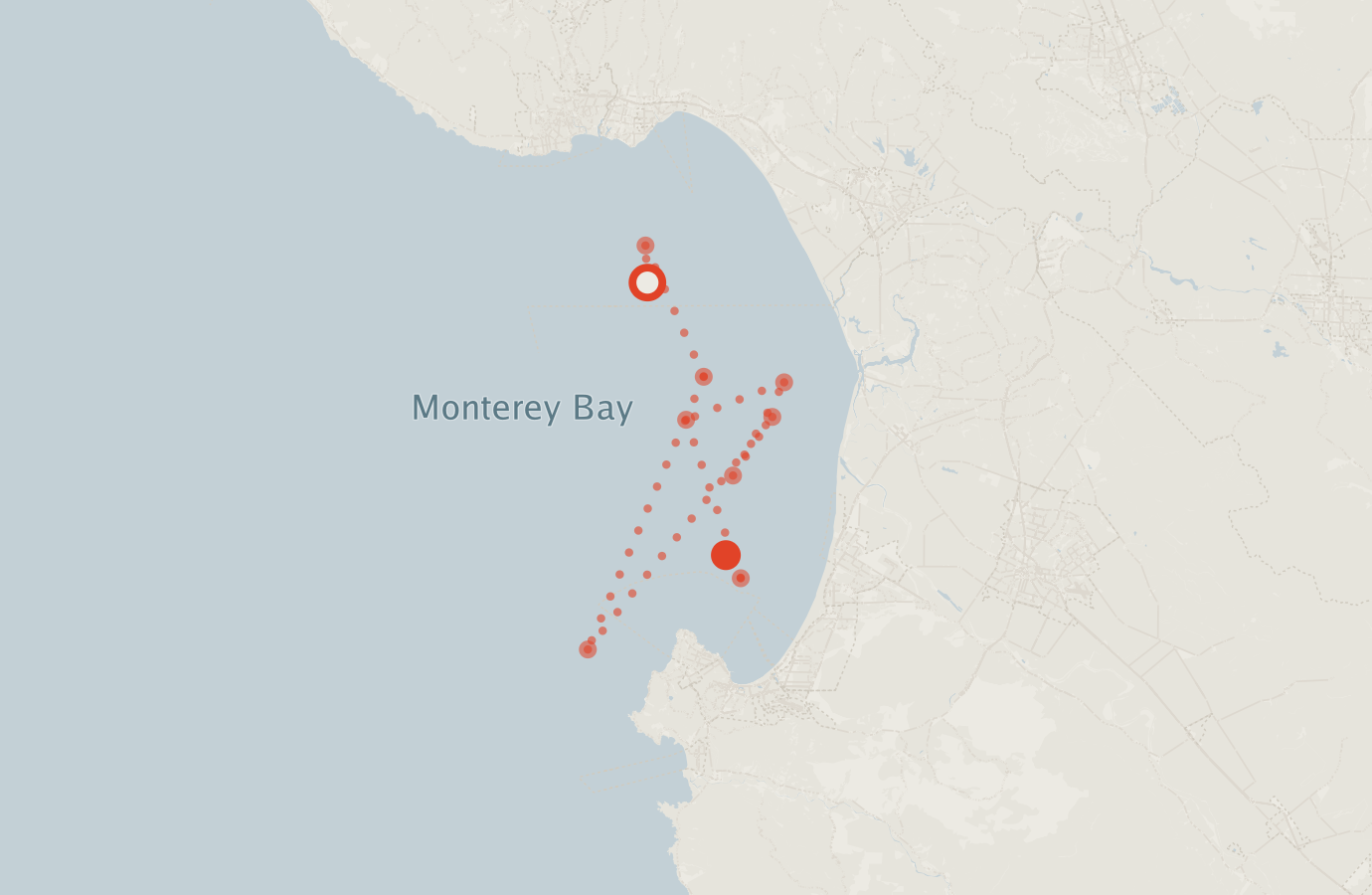 Activity map — real sighting points on an OpenStreetMap basemap