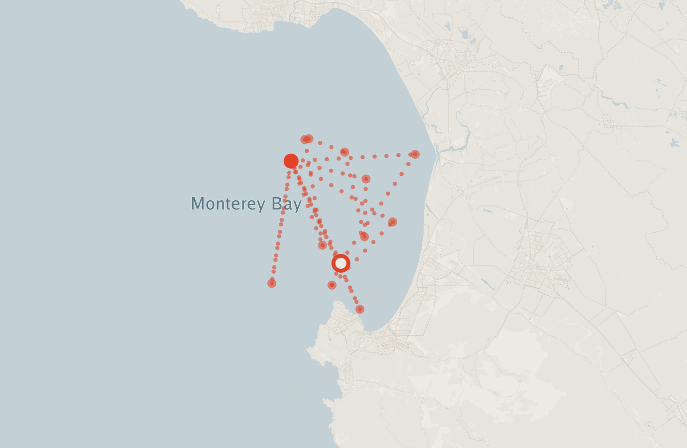 Activity map — real sighting points on an OpenStreetMap basemap