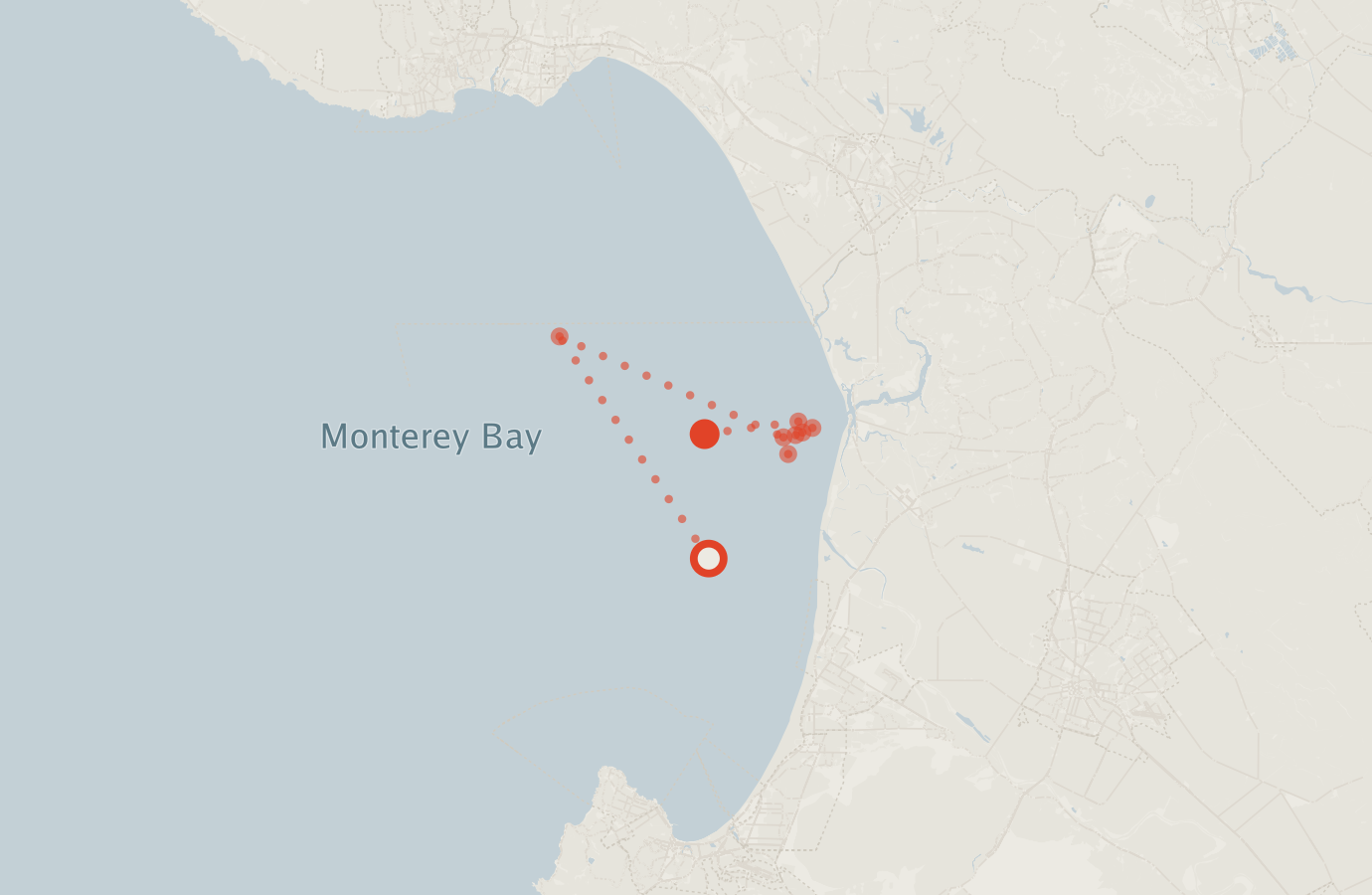 Activity map — real sighting points on an OpenStreetMap basemap