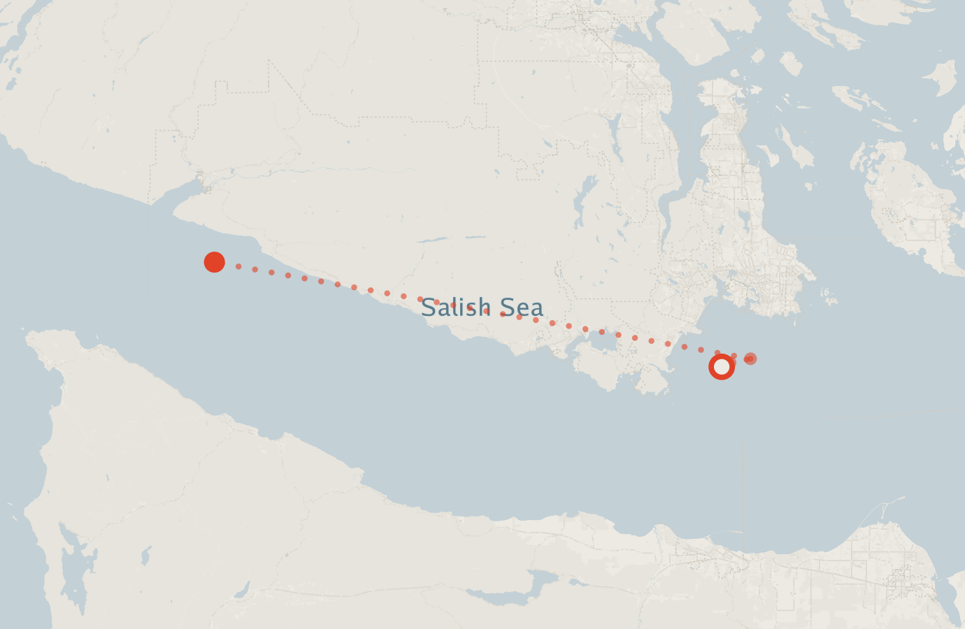 Activity map — real sighting points on an OpenStreetMap basemap