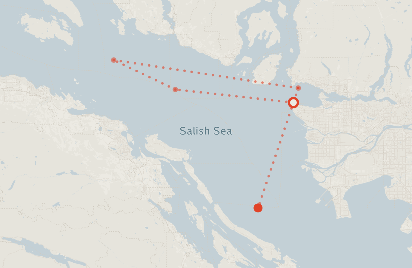 Activity map — real sighting points on an OpenStreetMap basemap