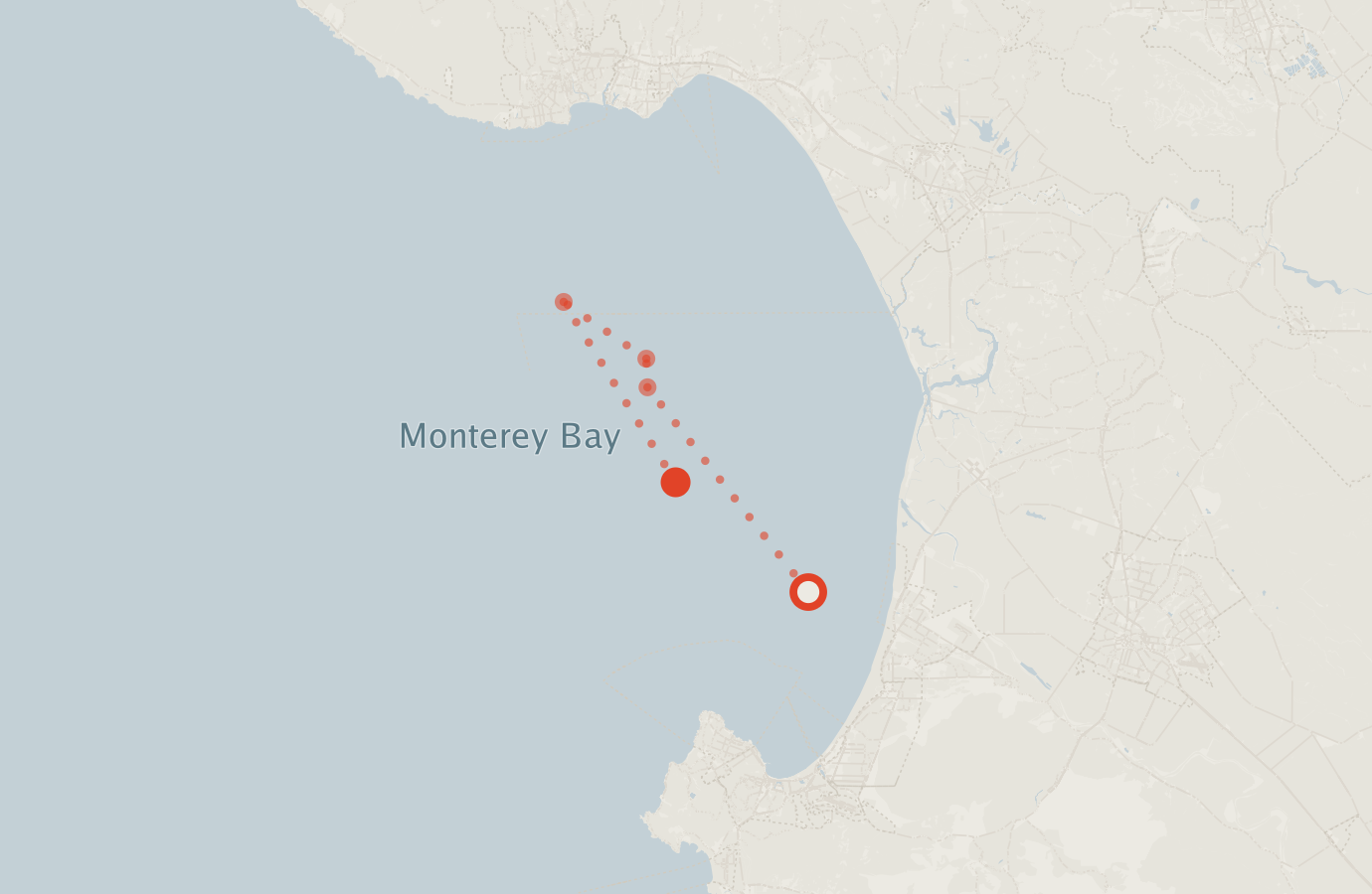 Activity map — real sighting points on an OpenStreetMap basemap