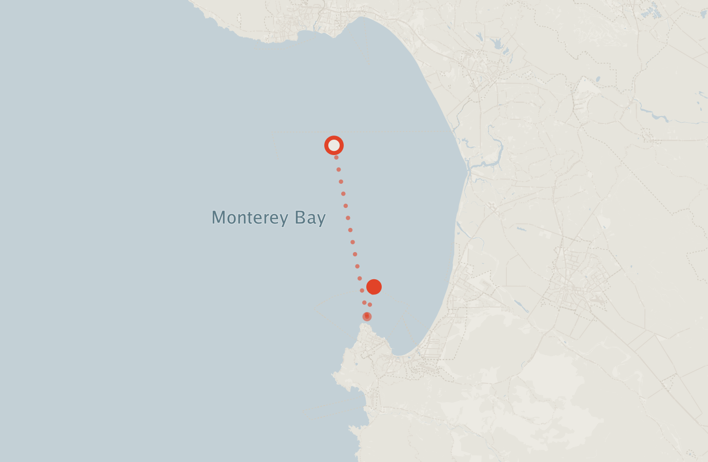 Activity map — real sighting points on an OpenStreetMap basemap