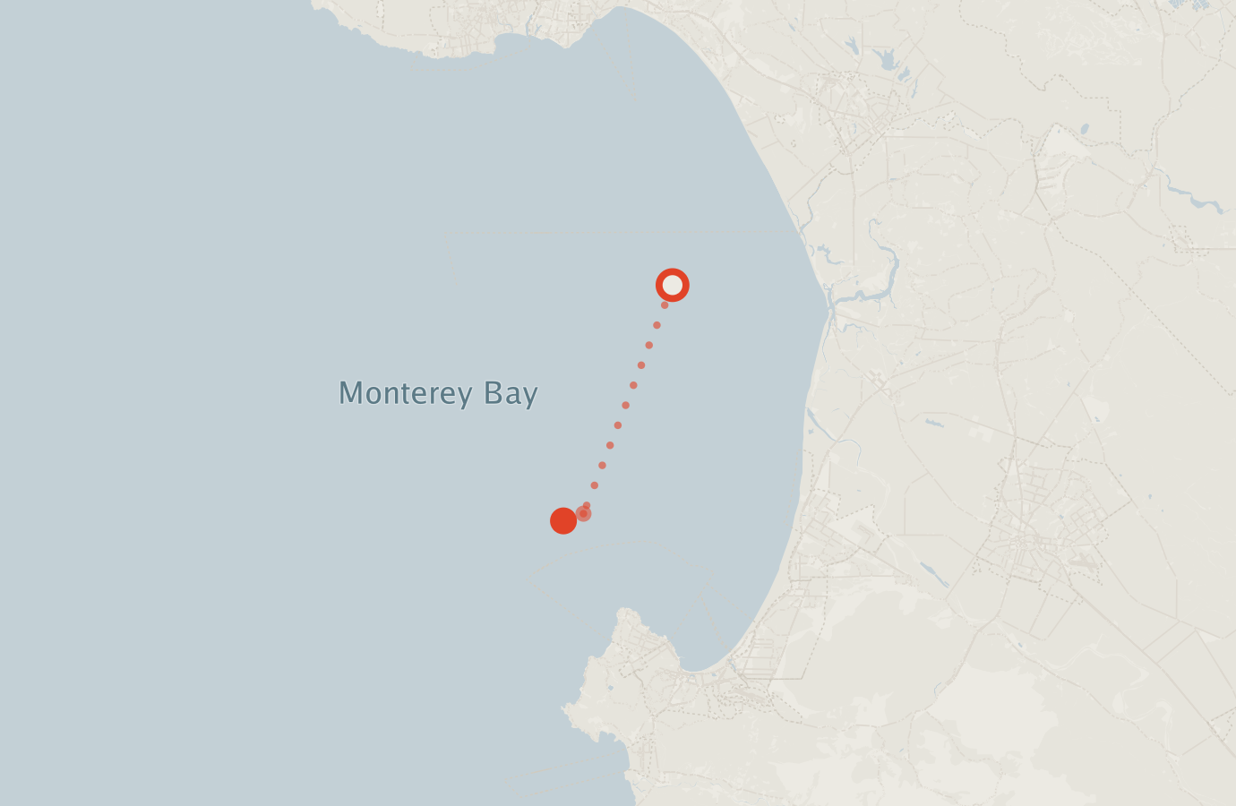 Activity map — real sighting points on an OpenStreetMap basemap