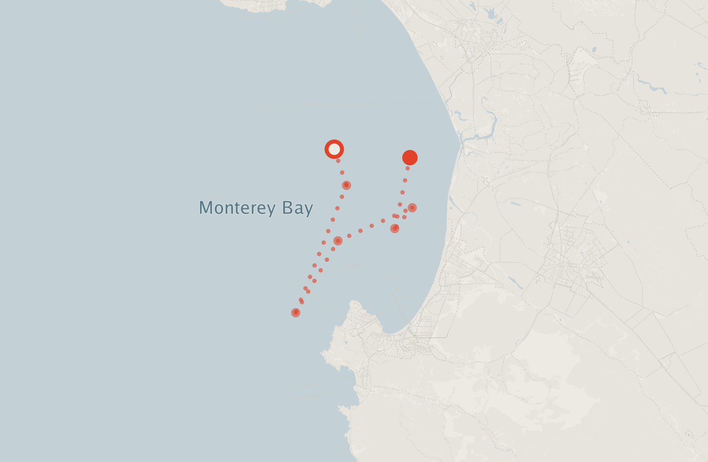 Activity map — real sighting points on an OpenStreetMap basemap