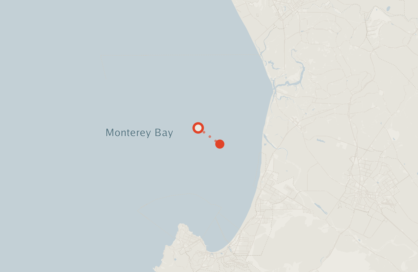 Activity map — real sighting points on an OpenStreetMap basemap