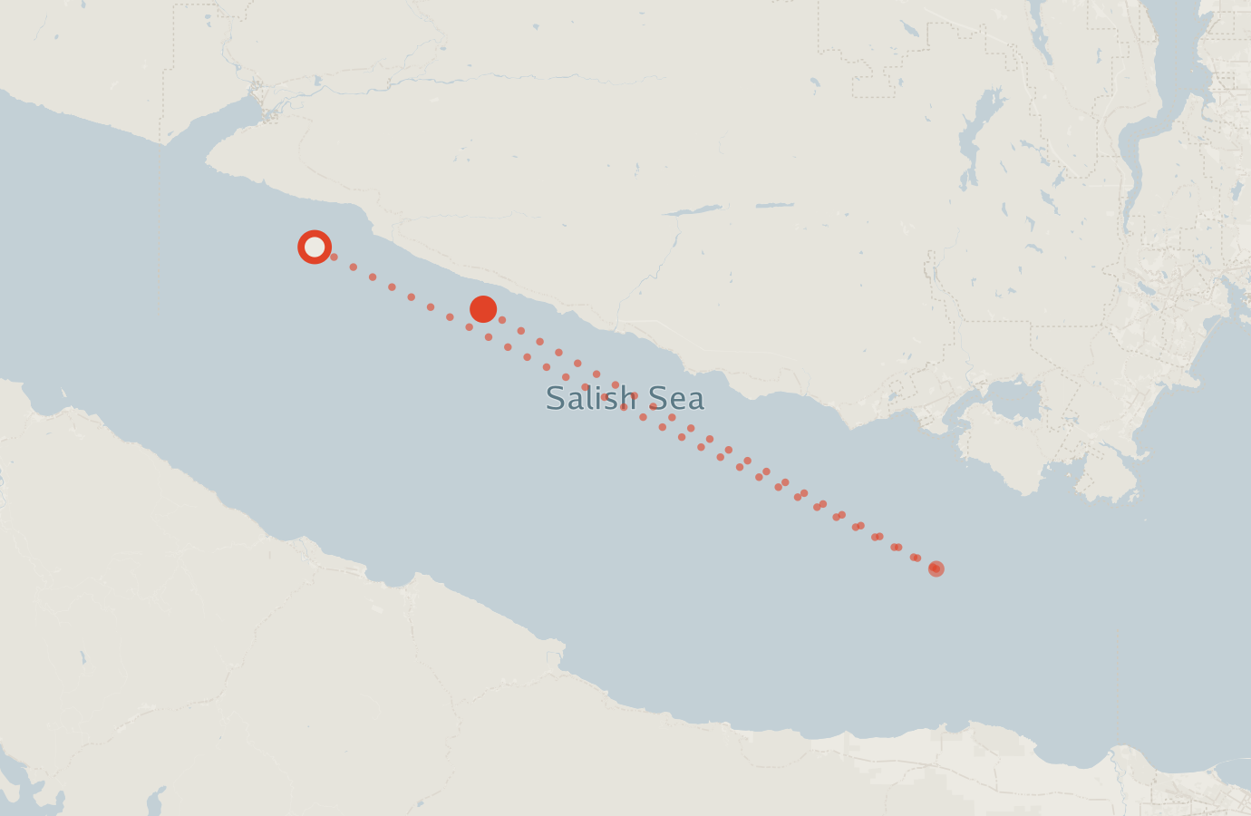 Activity map — real sighting points on an OpenStreetMap basemap