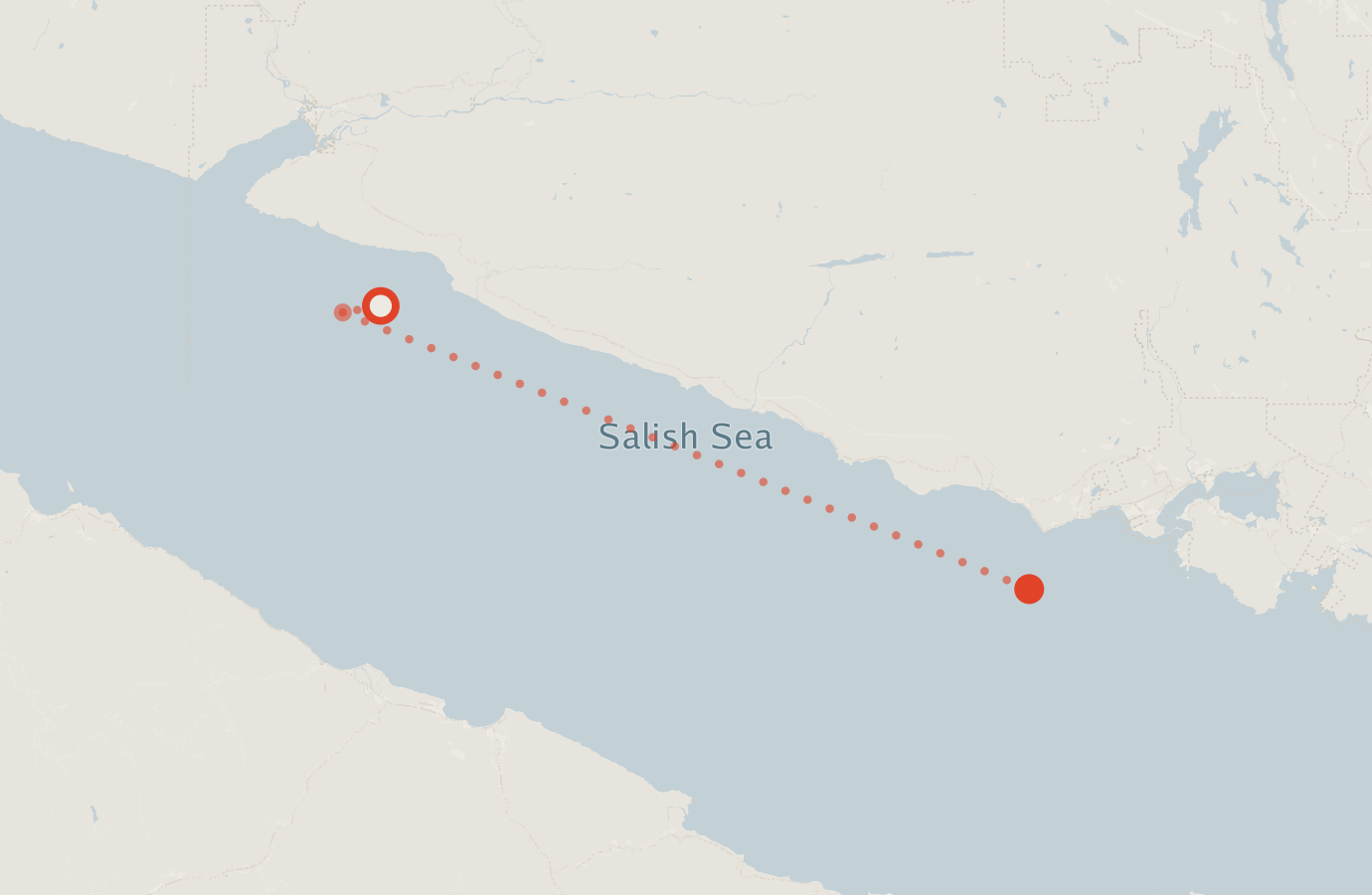 Activity map — real sighting points on an OpenStreetMap basemap