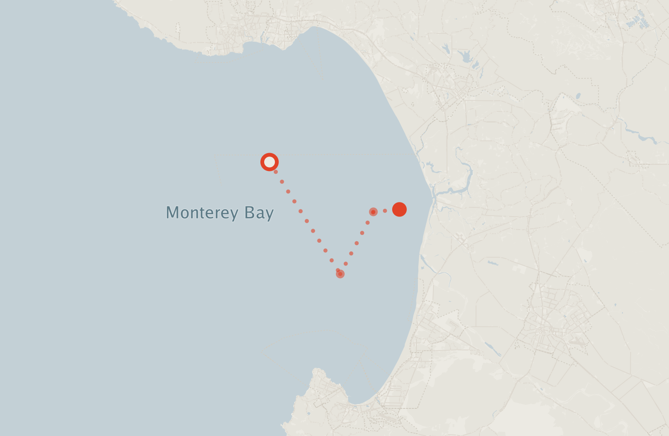 Activity map — real sighting points on an OpenStreetMap basemap