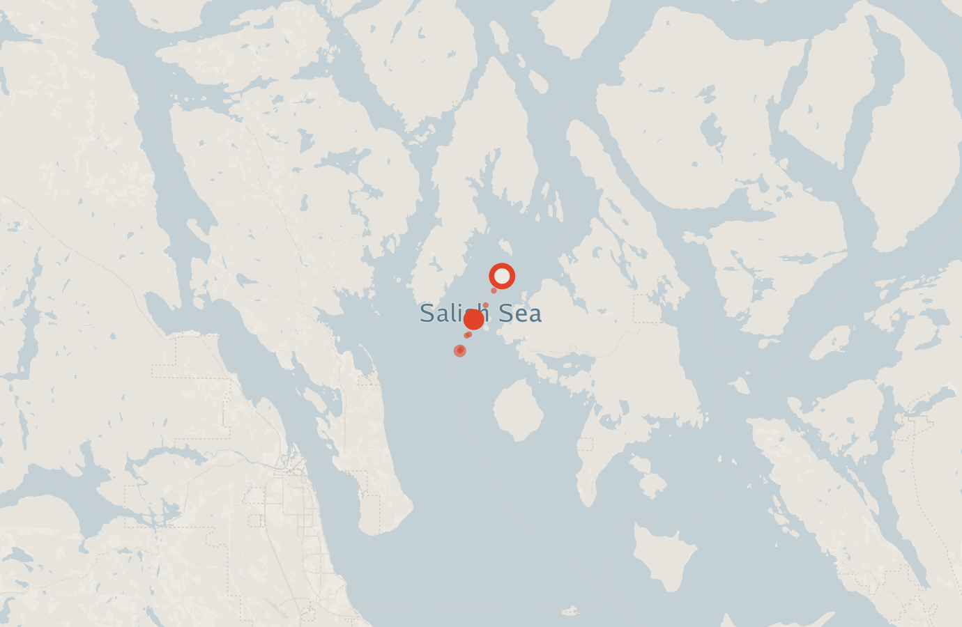 Activity map — real sighting points on an OpenStreetMap basemap