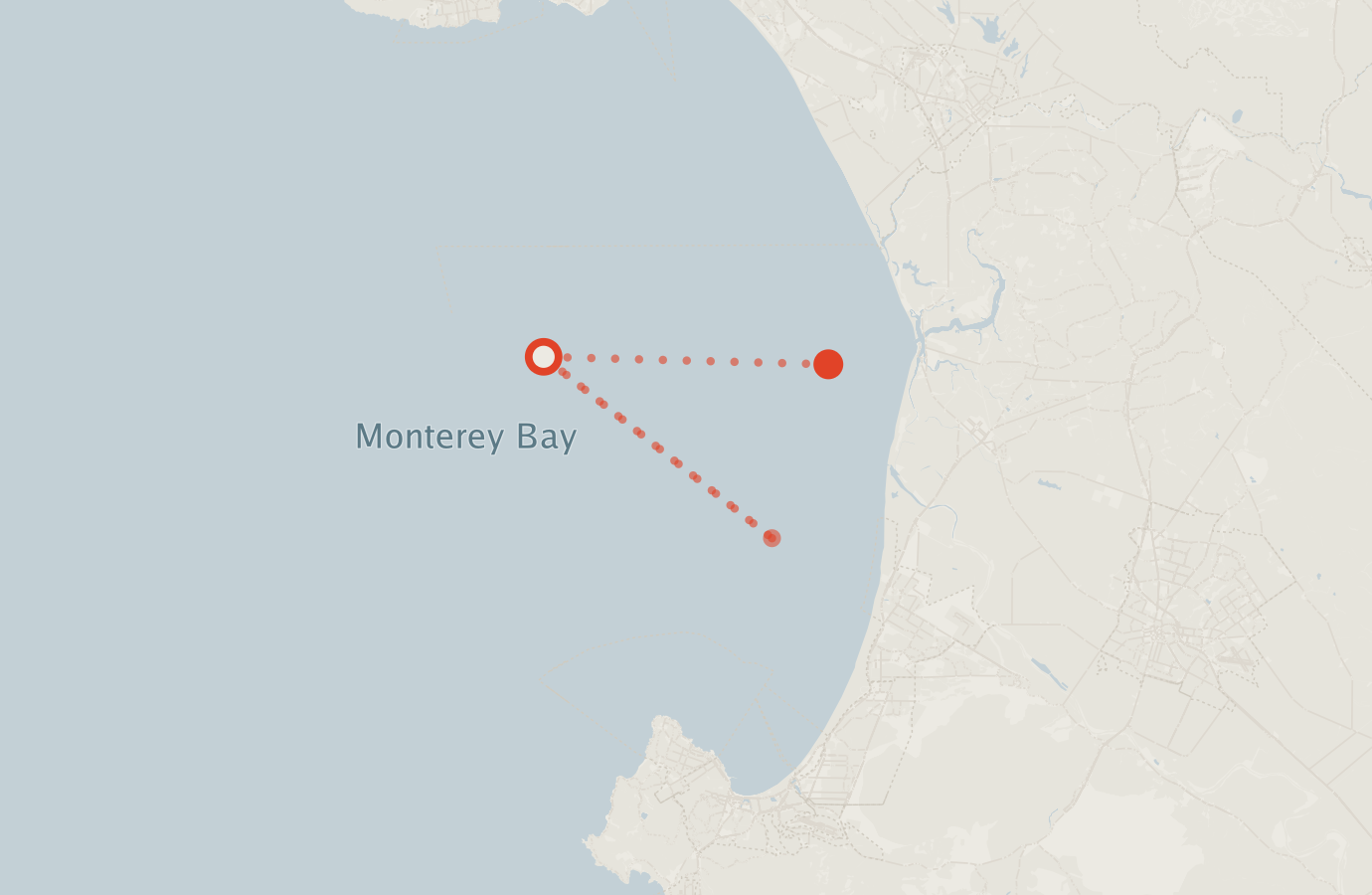 Activity map — real sighting points on an OpenStreetMap basemap