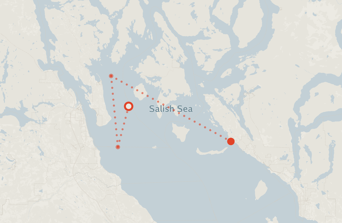 Activity map — real sighting points on an OpenStreetMap basemap
