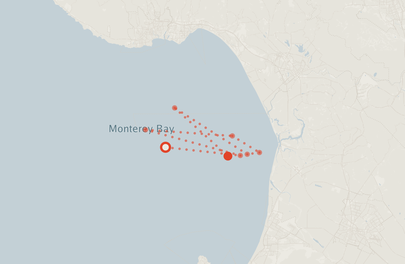 Activity map — real sighting points on an OpenStreetMap basemap