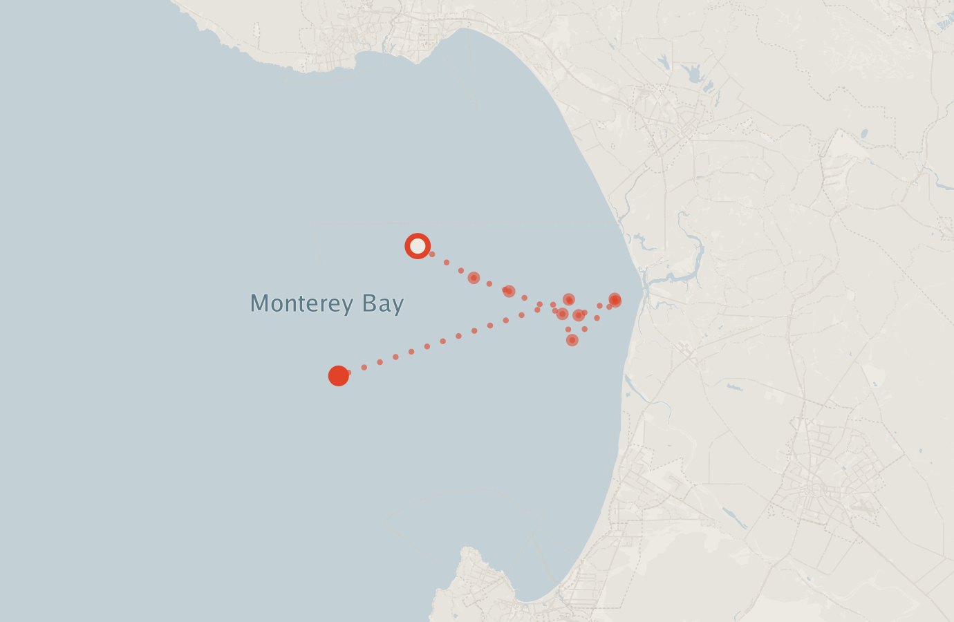 Activity map — real sighting points on an OpenStreetMap basemap