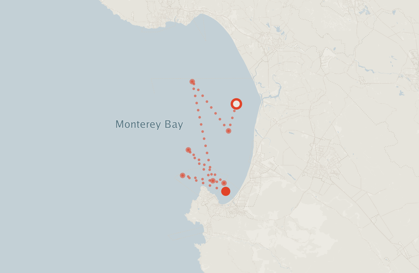 Activity map — real sighting points on an OpenStreetMap basemap
