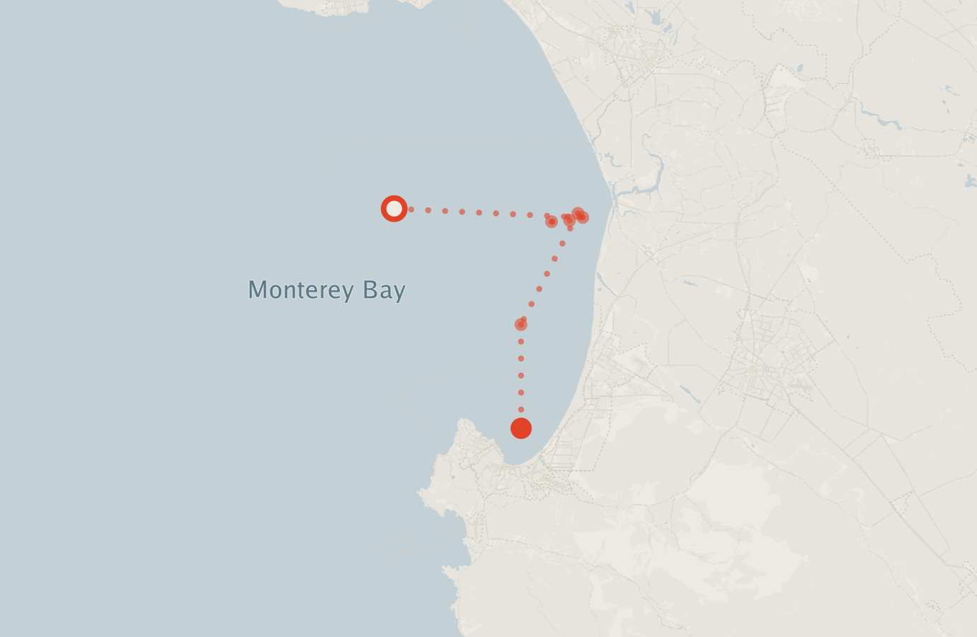 Activity map — real sighting points on an OpenStreetMap basemap