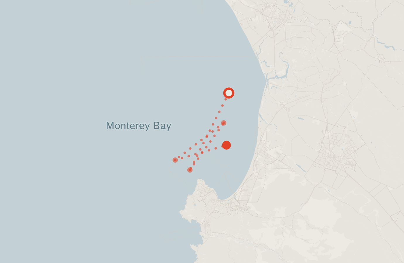 Activity map — real sighting points on an OpenStreetMap basemap
