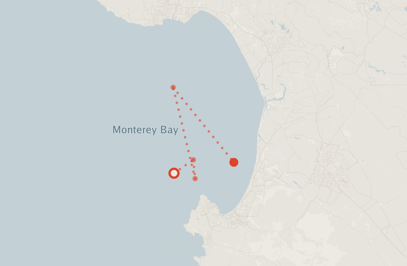 Activity map — real sighting points on an OpenStreetMap basemap