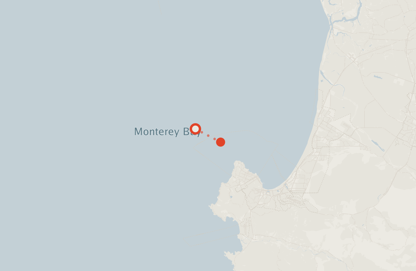 Activity map — real sighting points on an OpenStreetMap basemap