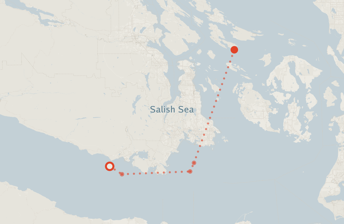 Activity map — real sighting points on an OpenStreetMap basemap