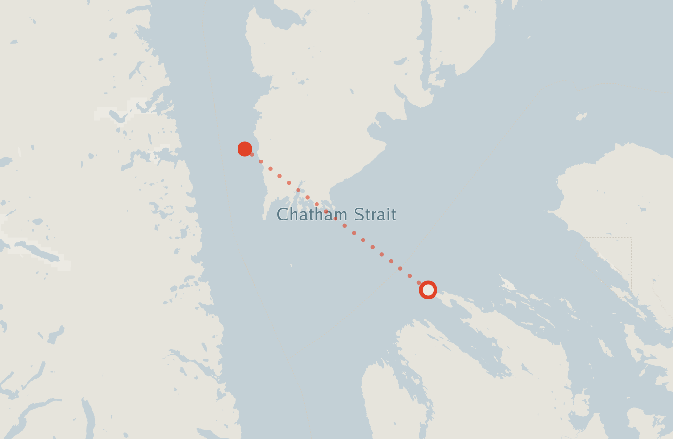 Activity map — real sighting points on an OpenStreetMap basemap