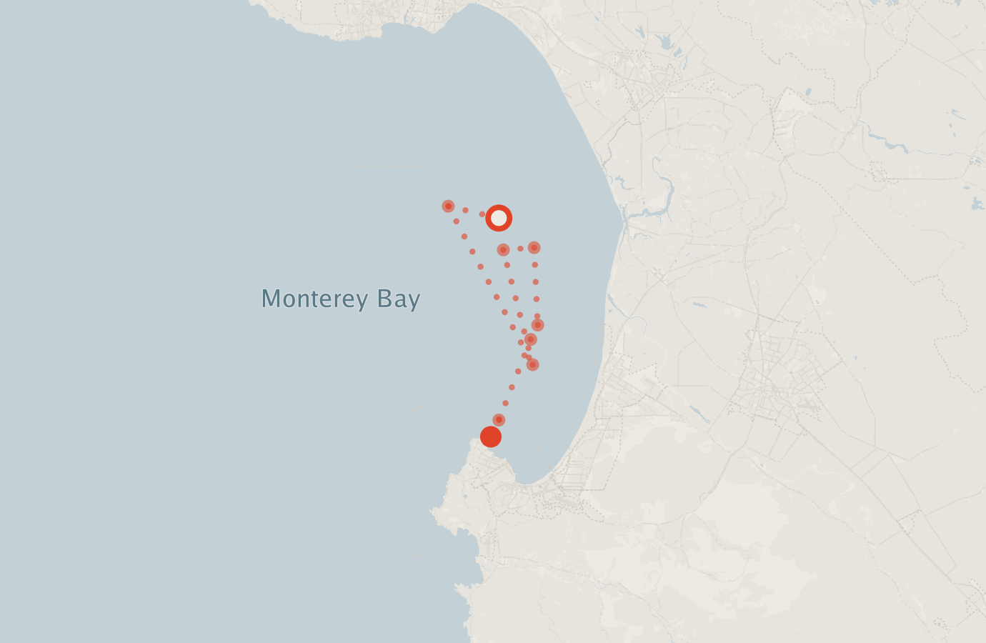 Activity map — real sighting points on an OpenStreetMap basemap