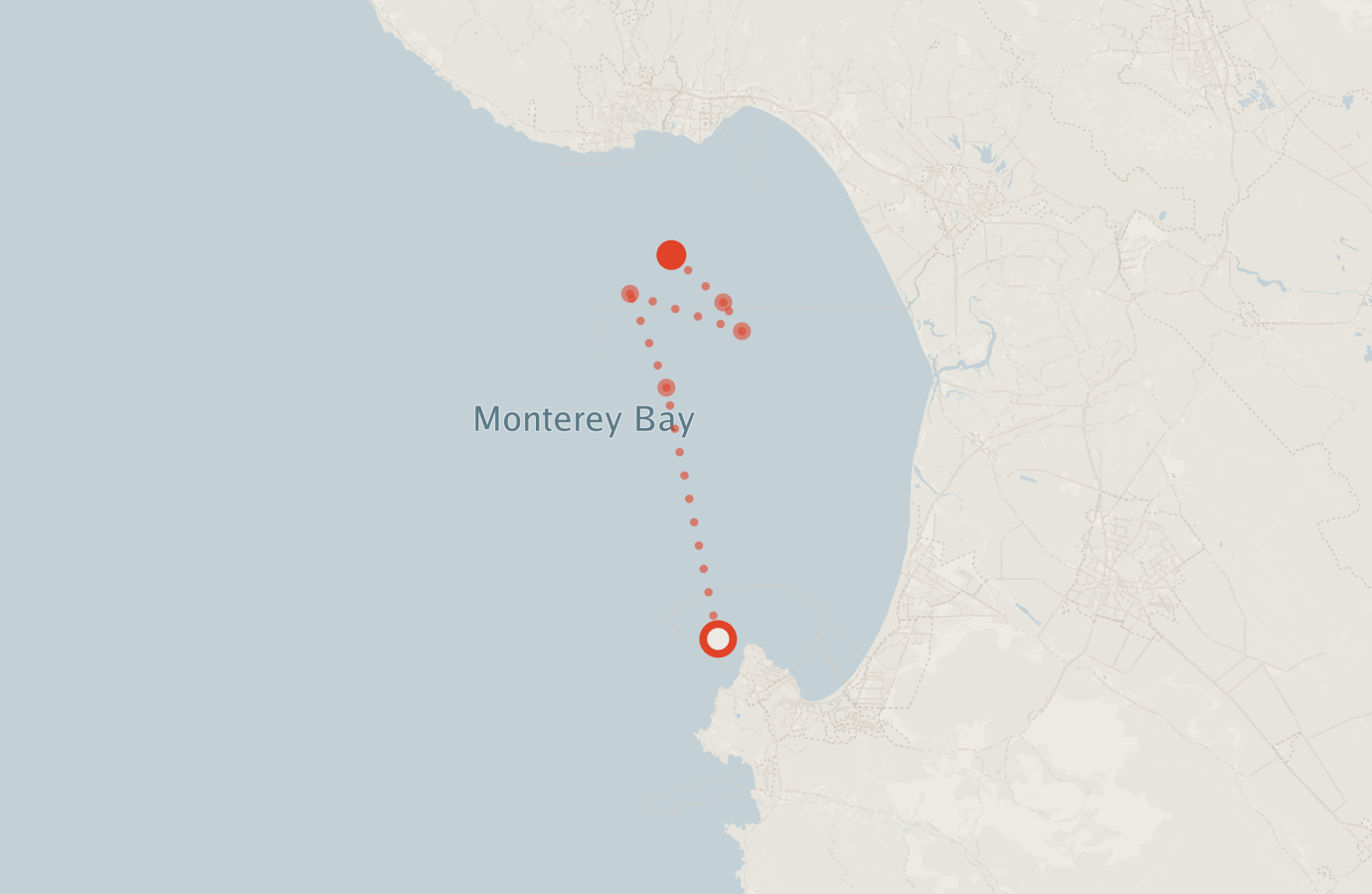 Activity map — real sighting points on an OpenStreetMap basemap