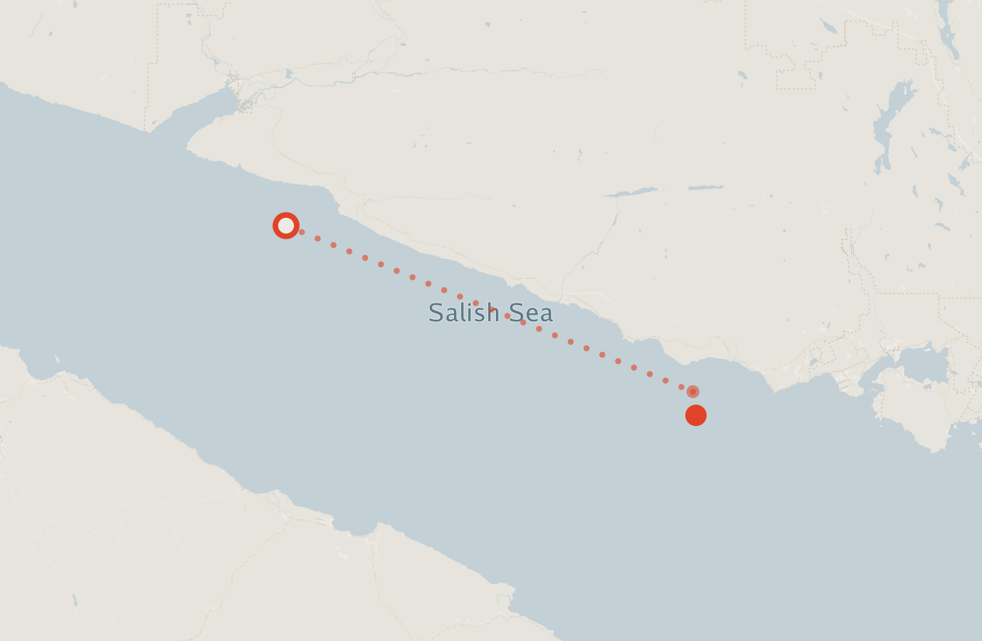 Activity map — real sighting points on an OpenStreetMap basemap