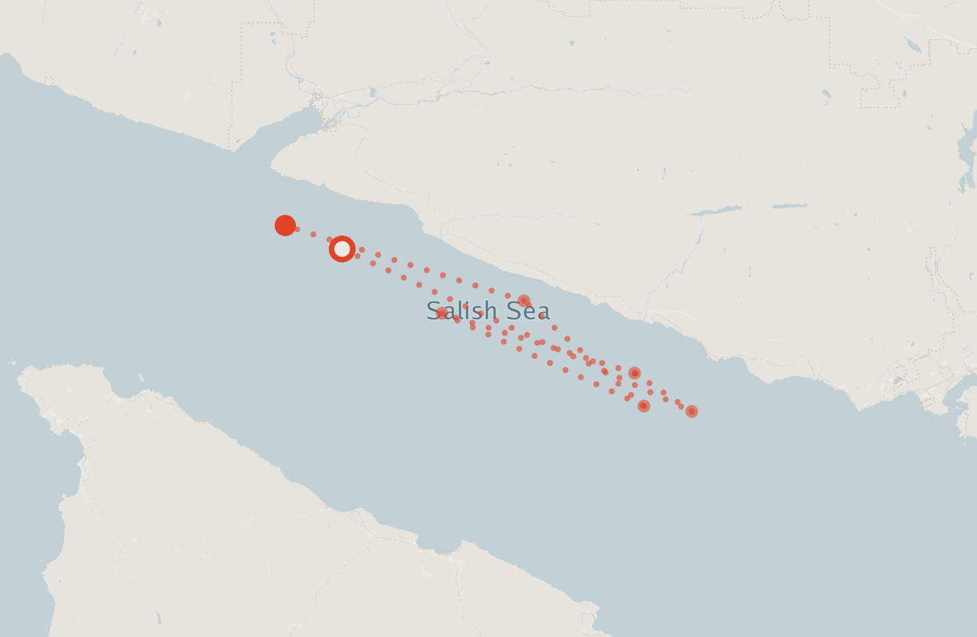 Activity map — real sighting points on an OpenStreetMap basemap