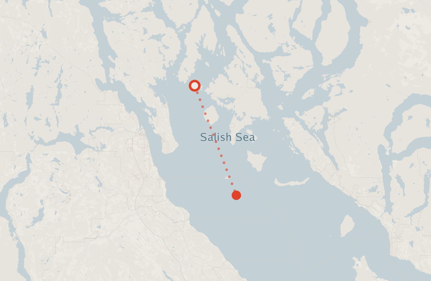 Activity map — real sighting points on an OpenStreetMap basemap